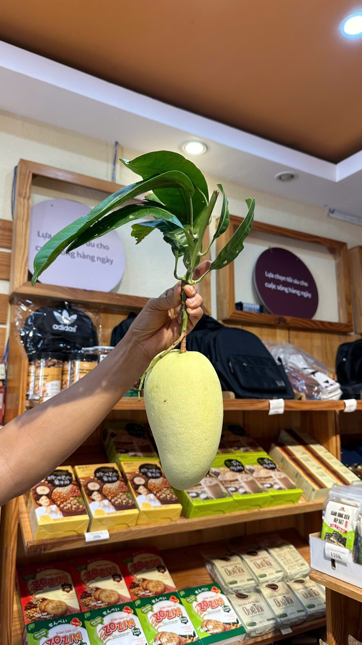 Xoài Sạch EGarden - Ảnh 3